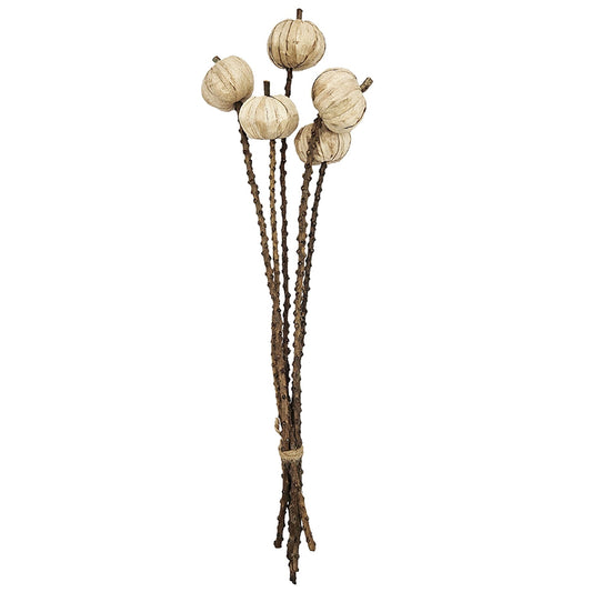Set of 12, 23.5' 5Pcs/Bunch Pumpkin Pod Twig Stem