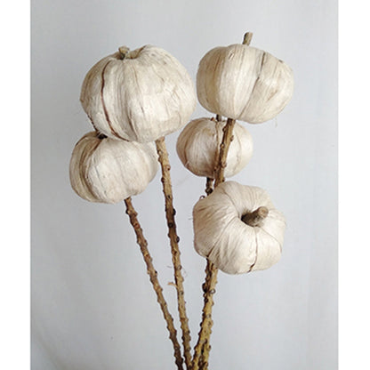 Set of 12, 23.5'   5Pcs/Bunch Pumpkin Pod Twig Stem