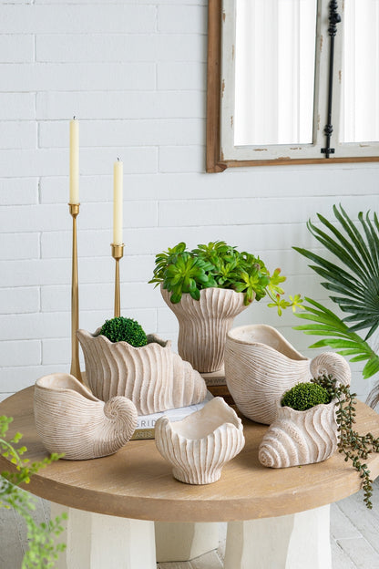 11.5x7x7' Sand and Cement Nautilus Shell Planter With Textured Beige Finish