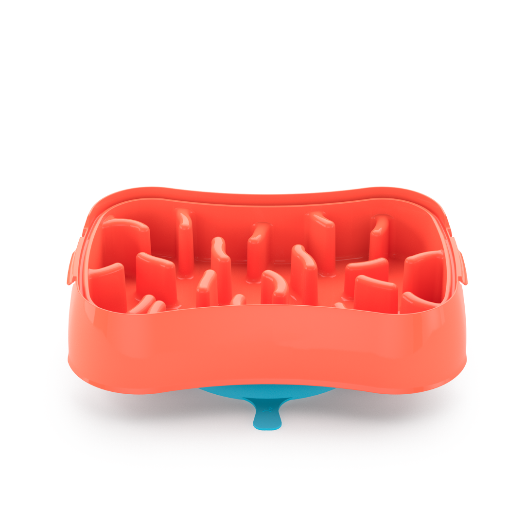 4-In-1 Slow Feeder Dog Bowl (Modalyst)