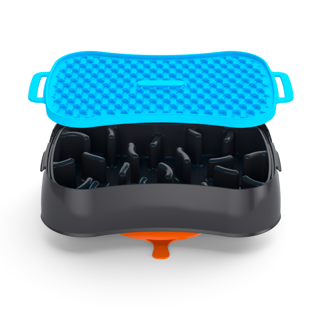 4-In-1 Slow Feeder Dog Bowl (Modalyst)