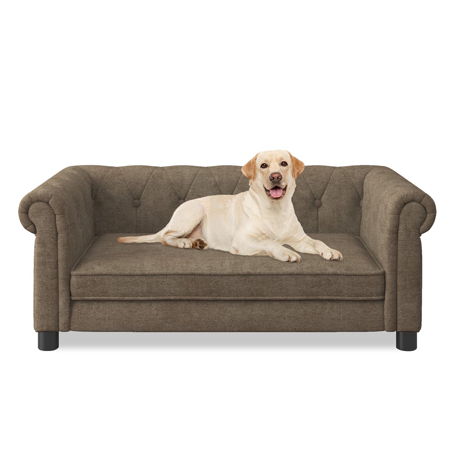 Modern Linen Fabric Elevated Pet Bed Sofa for Small and Medium Dogs - Brown