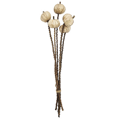 Set of 12, 23.5'   5Pcs/Bunch Pumpkin Pod Twig Stem