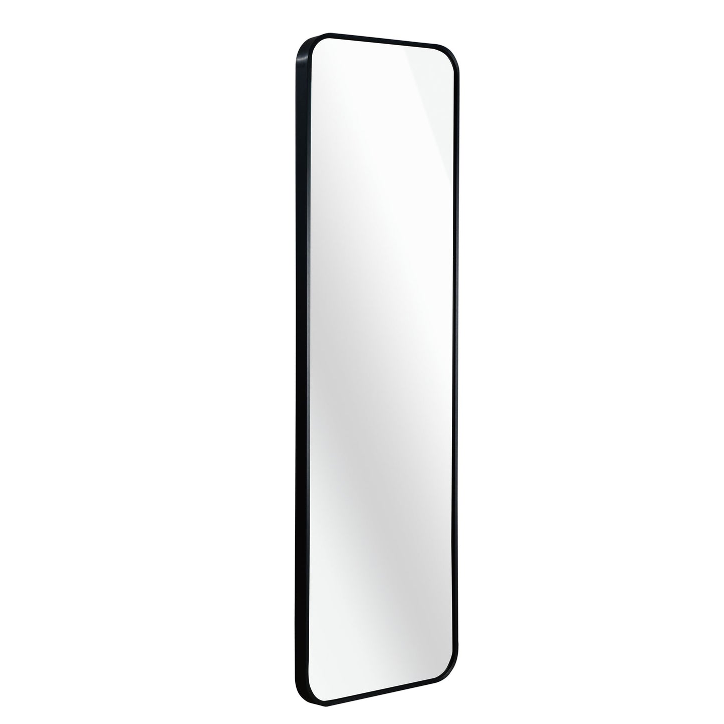 Black 47 X 14IN Door Mirror.