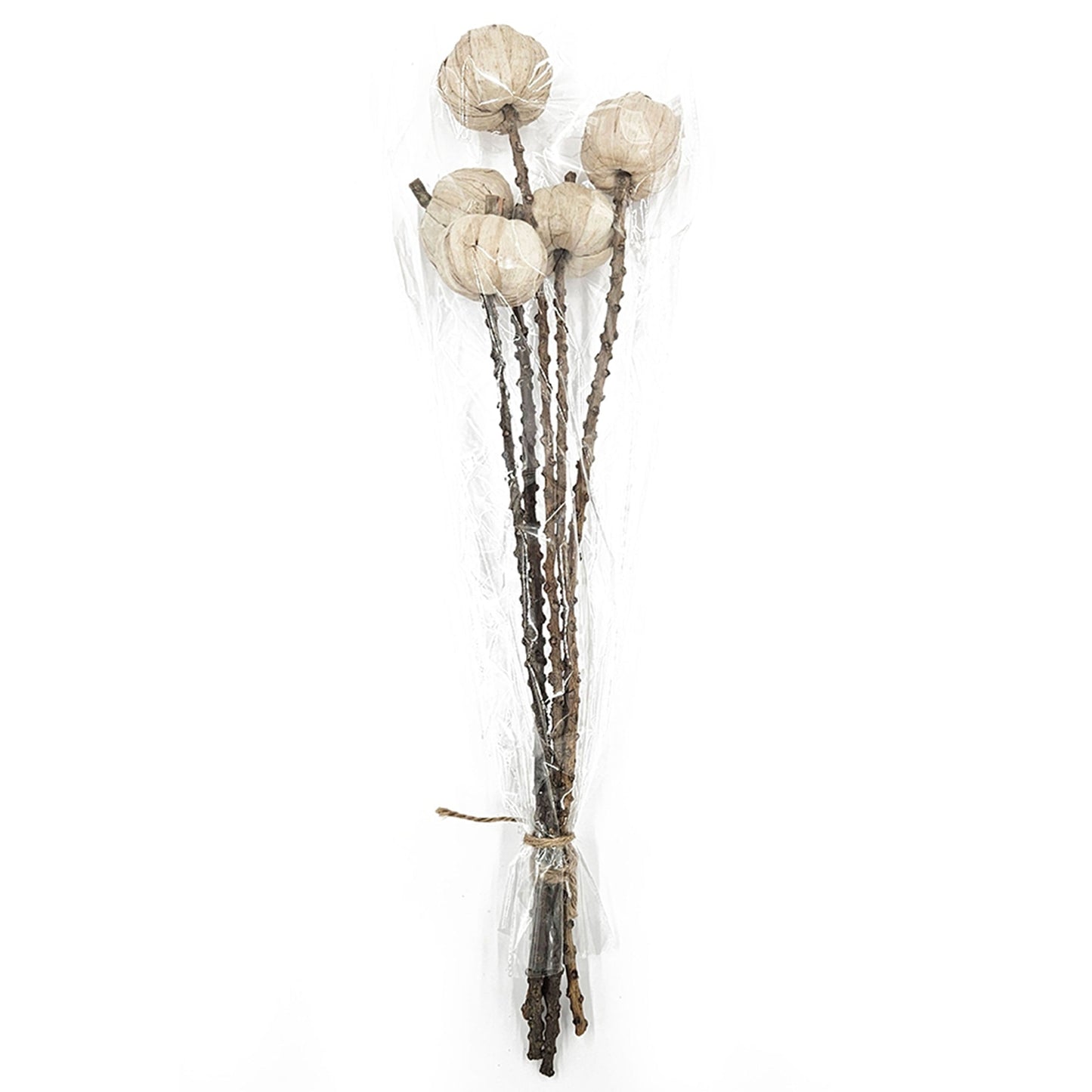 Set of 12, 23.5'   5Pcs/Bunch Pumpkin Pod Twig Stem