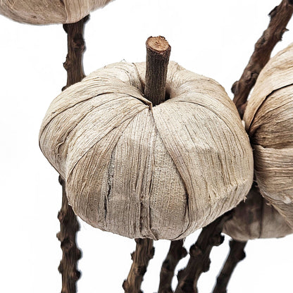 Set of 12, 23.5'   5Pcs/Bunch Pumpkin Pod Twig Stem