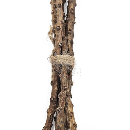 Set of 12, 23.5'   5Pcs/Bunch Pumpkin Pod Twig Stem