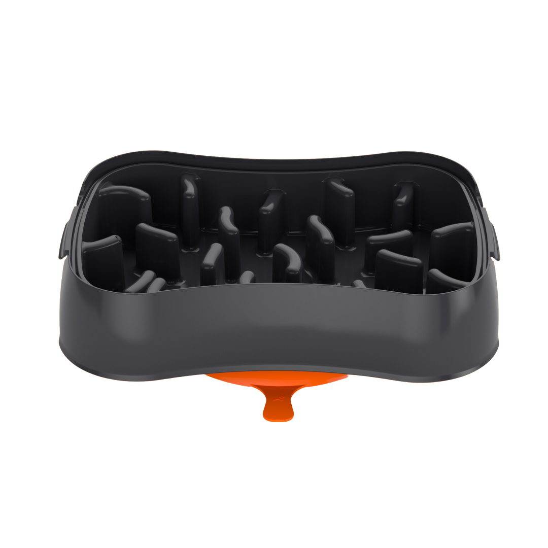 4-In-1 Slow Feeder Dog Bowl (Modalyst)