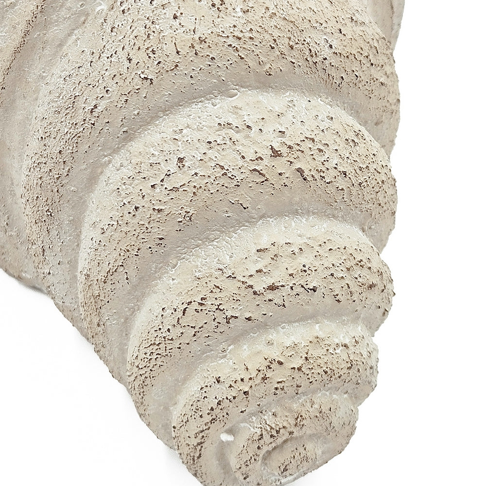 11.5x7x7' Sand and Cement Nautilus Shell Planter With Textured Beige Finish