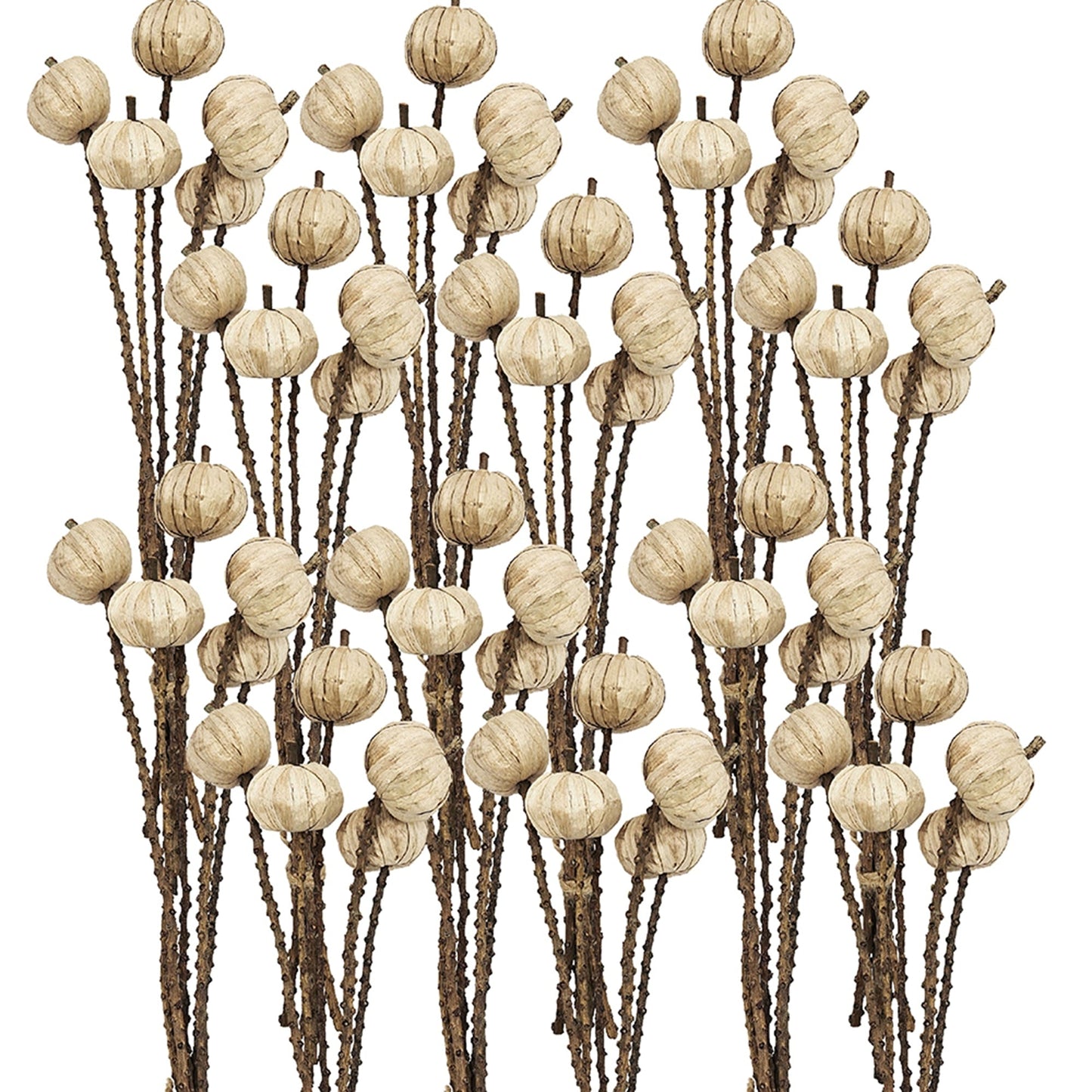 Set of 12, 23.5'   5Pcs/Bunch Pumpkin Pod Twig Stem