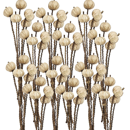 Set of 12, 23.5'   5Pcs/Bunch Pumpkin Pod Twig Stem