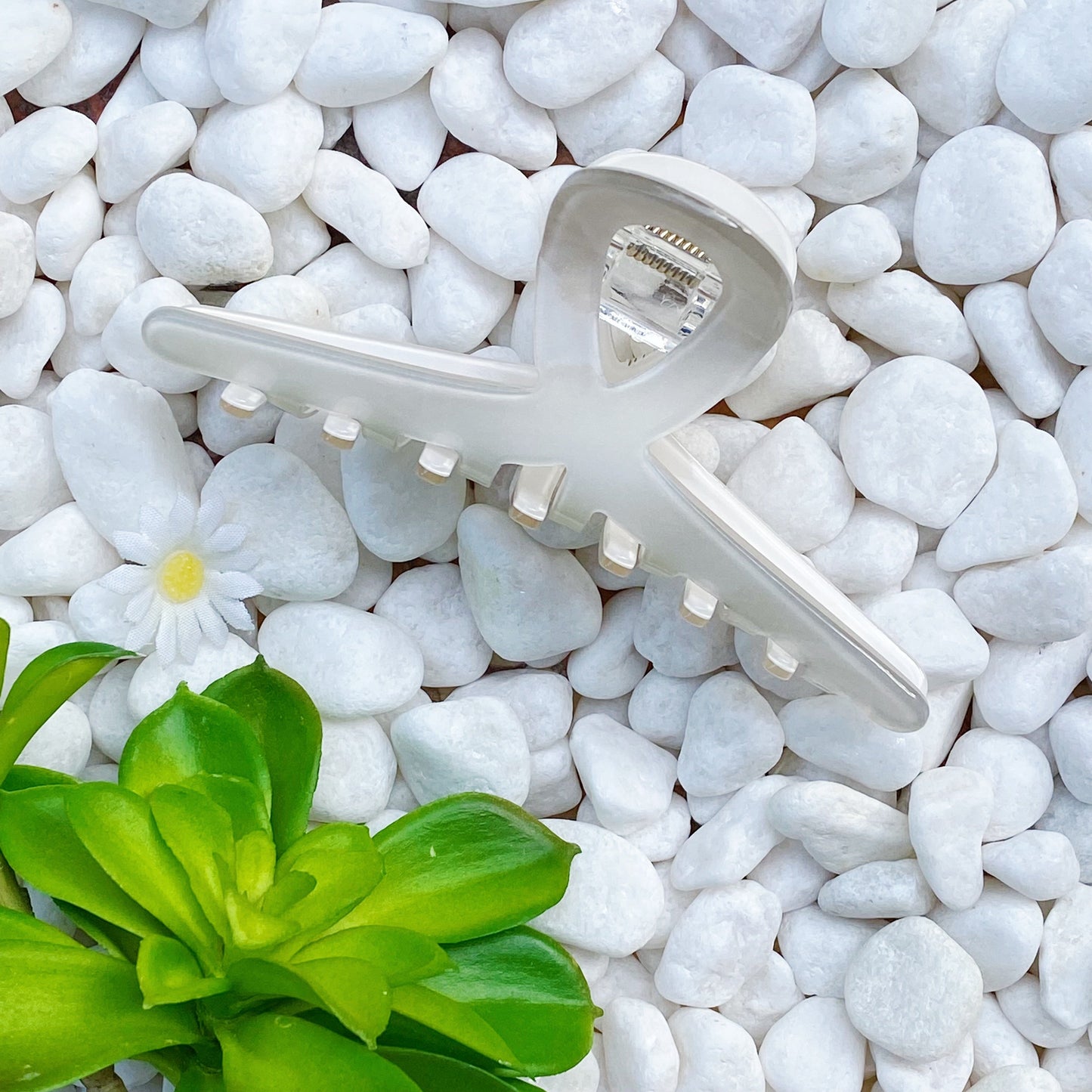 Katie Hair Claw Set of 3 Assorted Colors