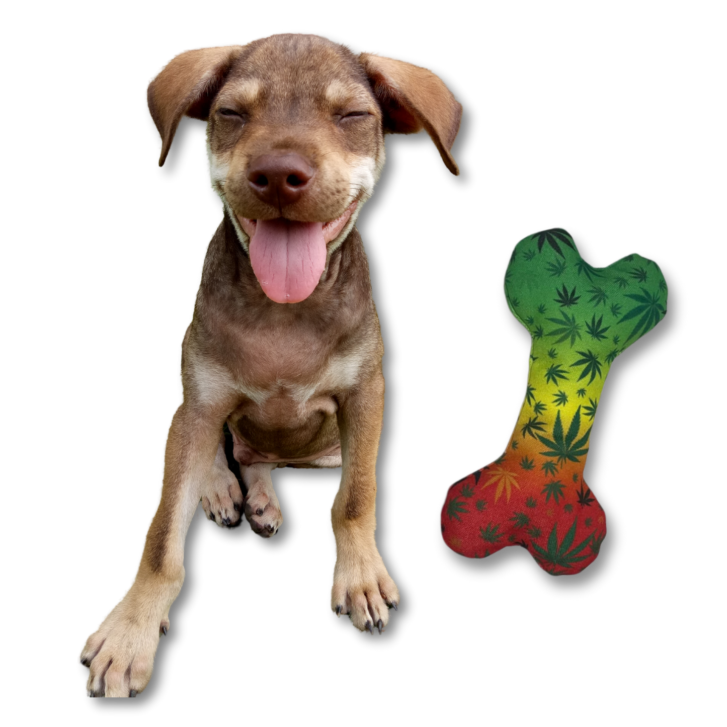 Stoned to Da Bone 420 Dog Toy - MSRP $11.99