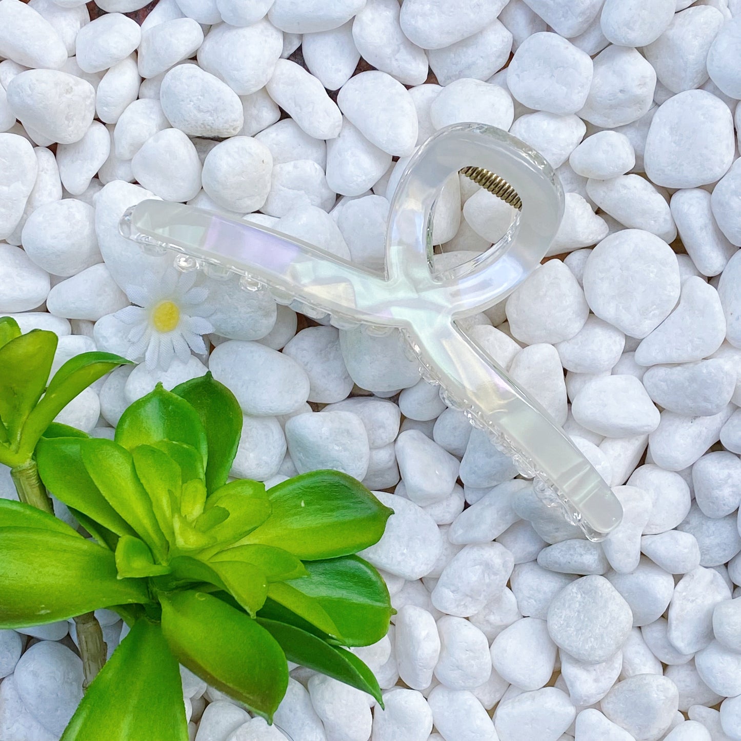 Katie Hair Claw Set of 3 Assorted Colors