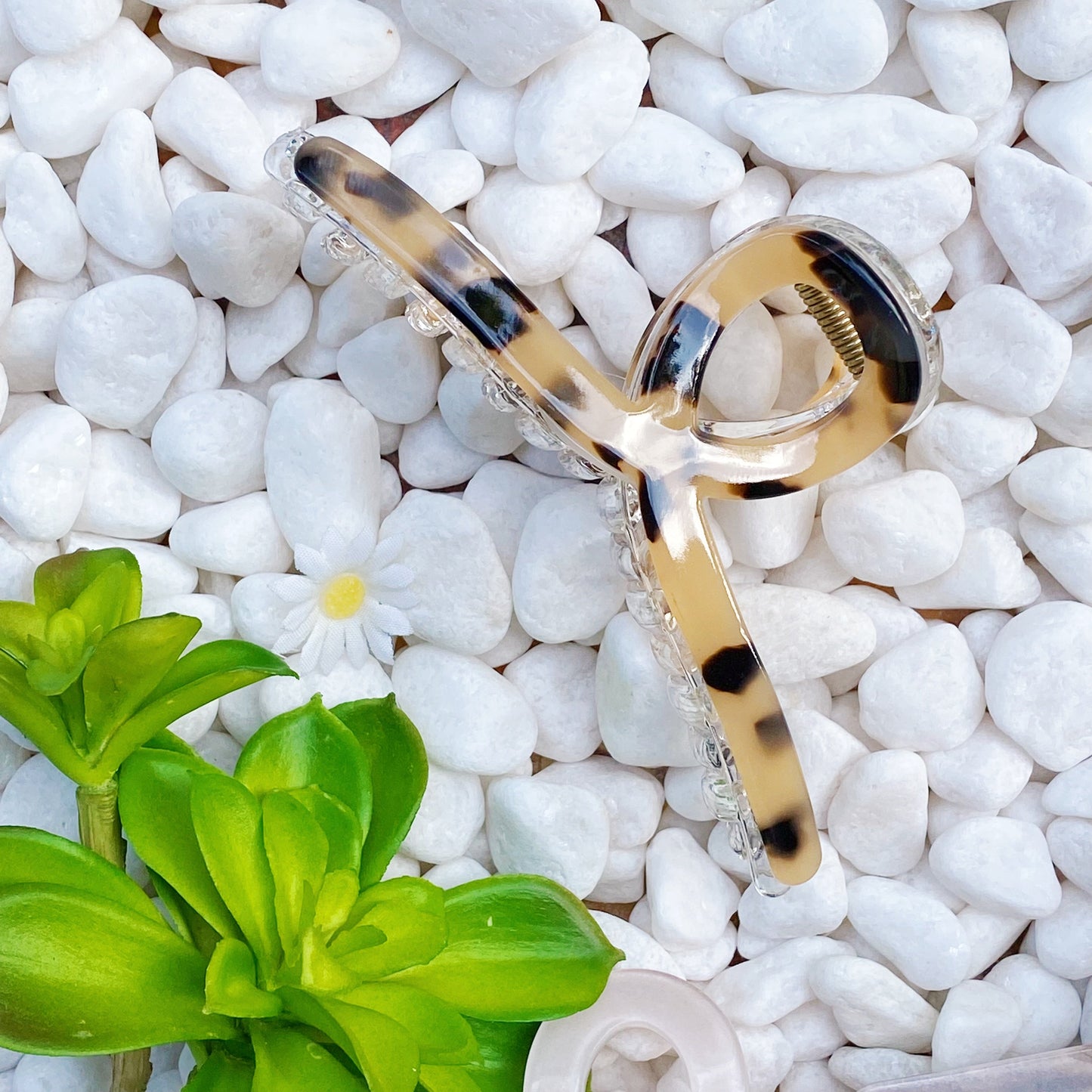 Katie Hair Claw Set of 3 Assorted Colors