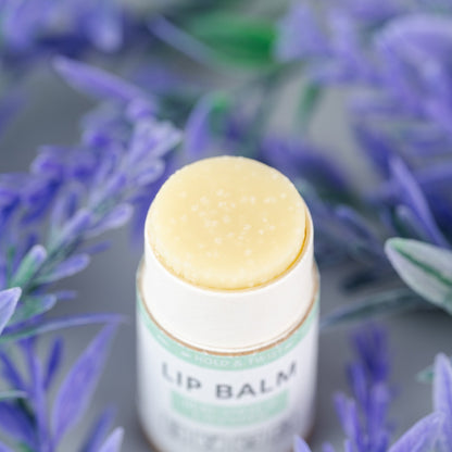 Lip Balm Bundle (5-Pack)