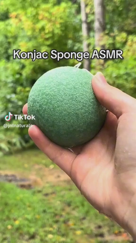 Konjac Sponge