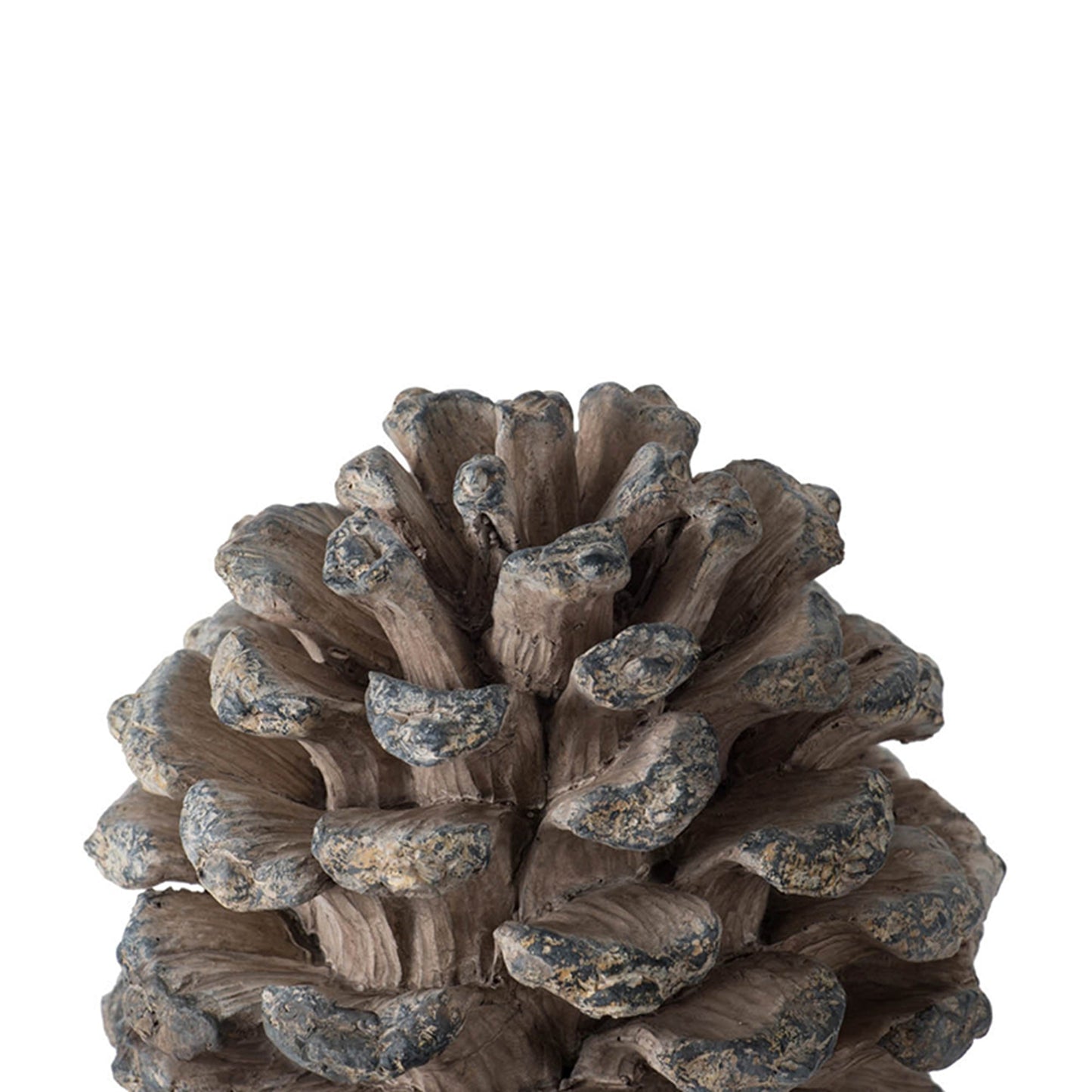 D7x10.5' Table Decor, Pinecone