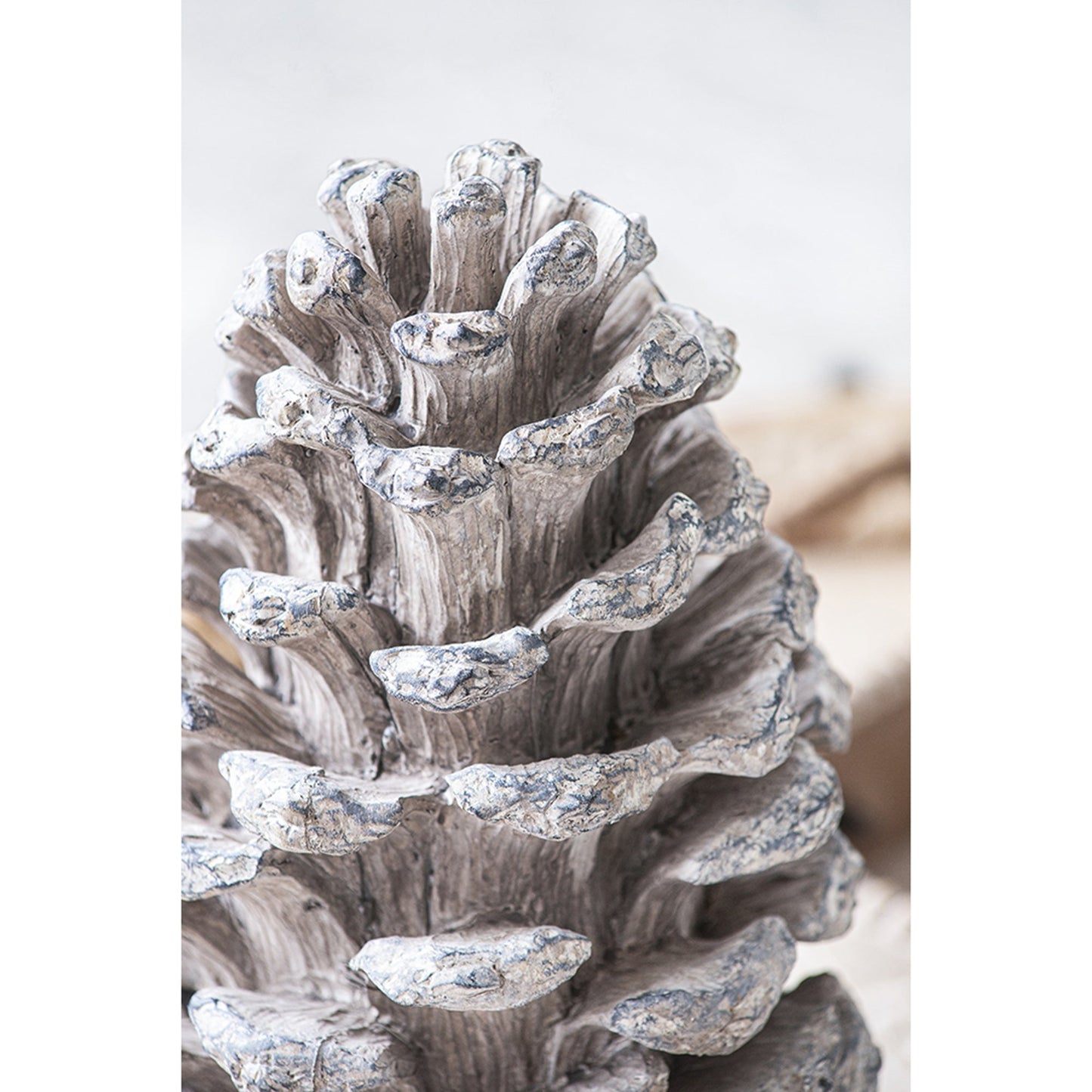 D7x14' Table Decor, Pinecone